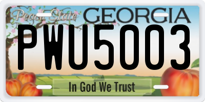 GA license plate PWU5003
