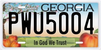 GA license plate PWU5004