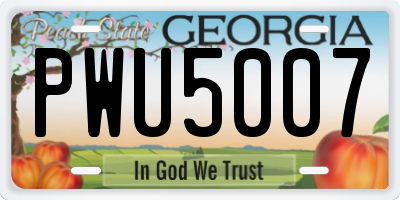 GA license plate PWU5007