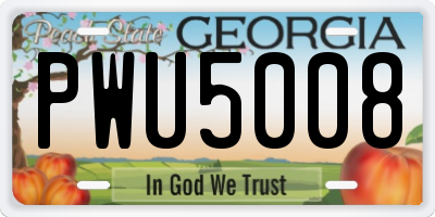 GA license plate PWU5008