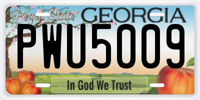 GA license plate PWU5009