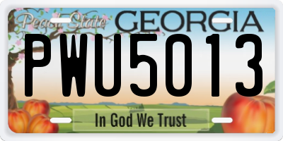 GA license plate PWU5013