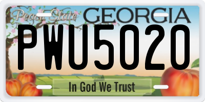 GA license plate PWU5020