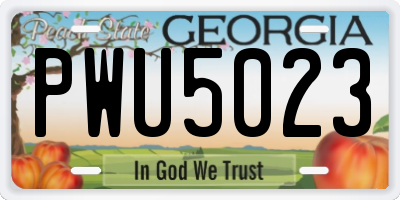 GA license plate PWU5023