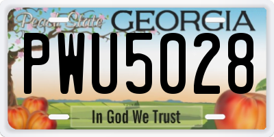 GA license plate PWU5028
