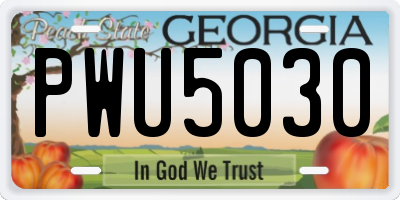 GA license plate PWU5030