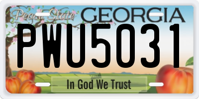 GA license plate PWU5031
