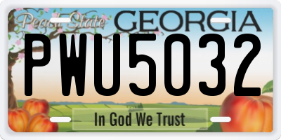 GA license plate PWU5032