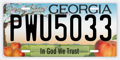 GA license plate PWU5033