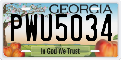 GA license plate PWU5034