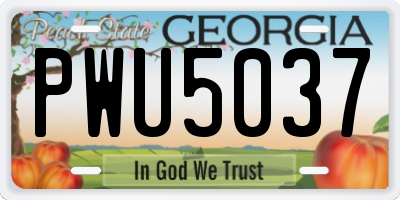 GA license plate PWU5037