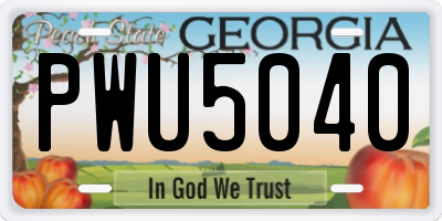 GA license plate PWU5040