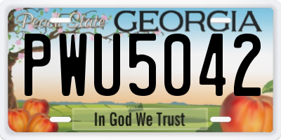 GA license plate PWU5042