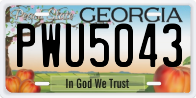 GA license plate PWU5043