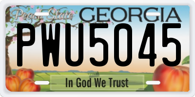 GA license plate PWU5045