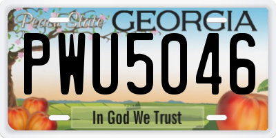 GA license plate PWU5046