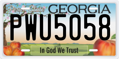 GA license plate PWU5058