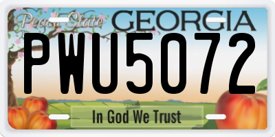 GA license plate PWU5072