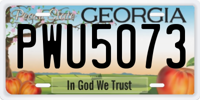 GA license plate PWU5073