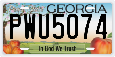 GA license plate PWU5074