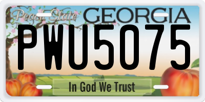 GA license plate PWU5075