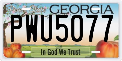 GA license plate PWU5077