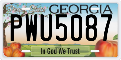 GA license plate PWU5087