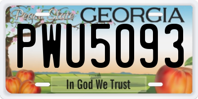 GA license plate PWU5093