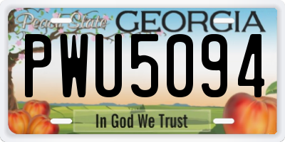 GA license plate PWU5094