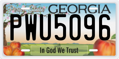 GA license plate PWU5096