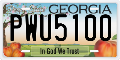 GA license plate PWU5100
