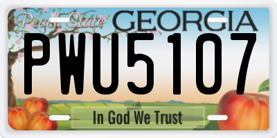 GA license plate PWU5107