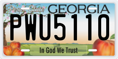 GA license plate PWU5110