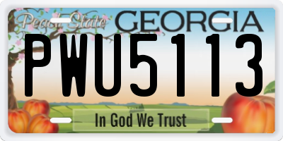 GA license plate PWU5113