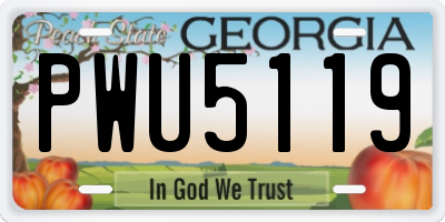 GA license plate PWU5119