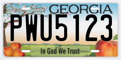 GA license plate PWU5123