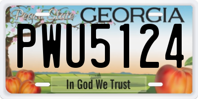 GA license plate PWU5124