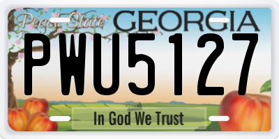 GA license plate PWU5127