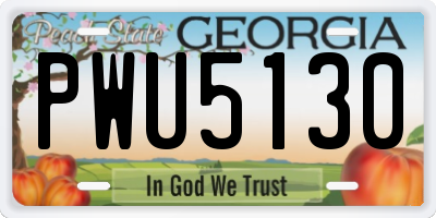 GA license plate PWU5130