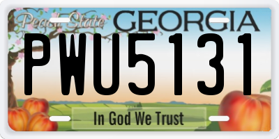 GA license plate PWU5131