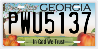 GA license plate PWU5137