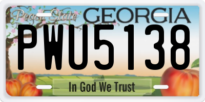GA license plate PWU5138