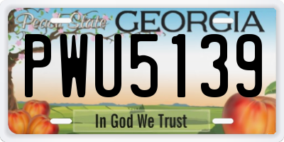 GA license plate PWU5139