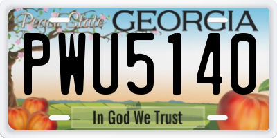 GA license plate PWU5140