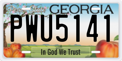 GA license plate PWU5141