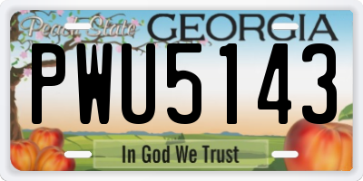 GA license plate PWU5143