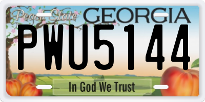 GA license plate PWU5144