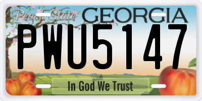 GA license plate PWU5147