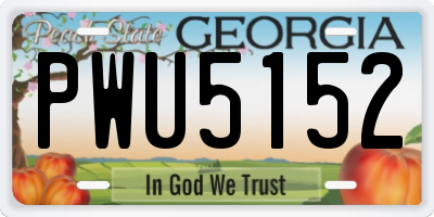 GA license plate PWU5152