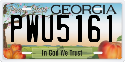 GA license plate PWU5161